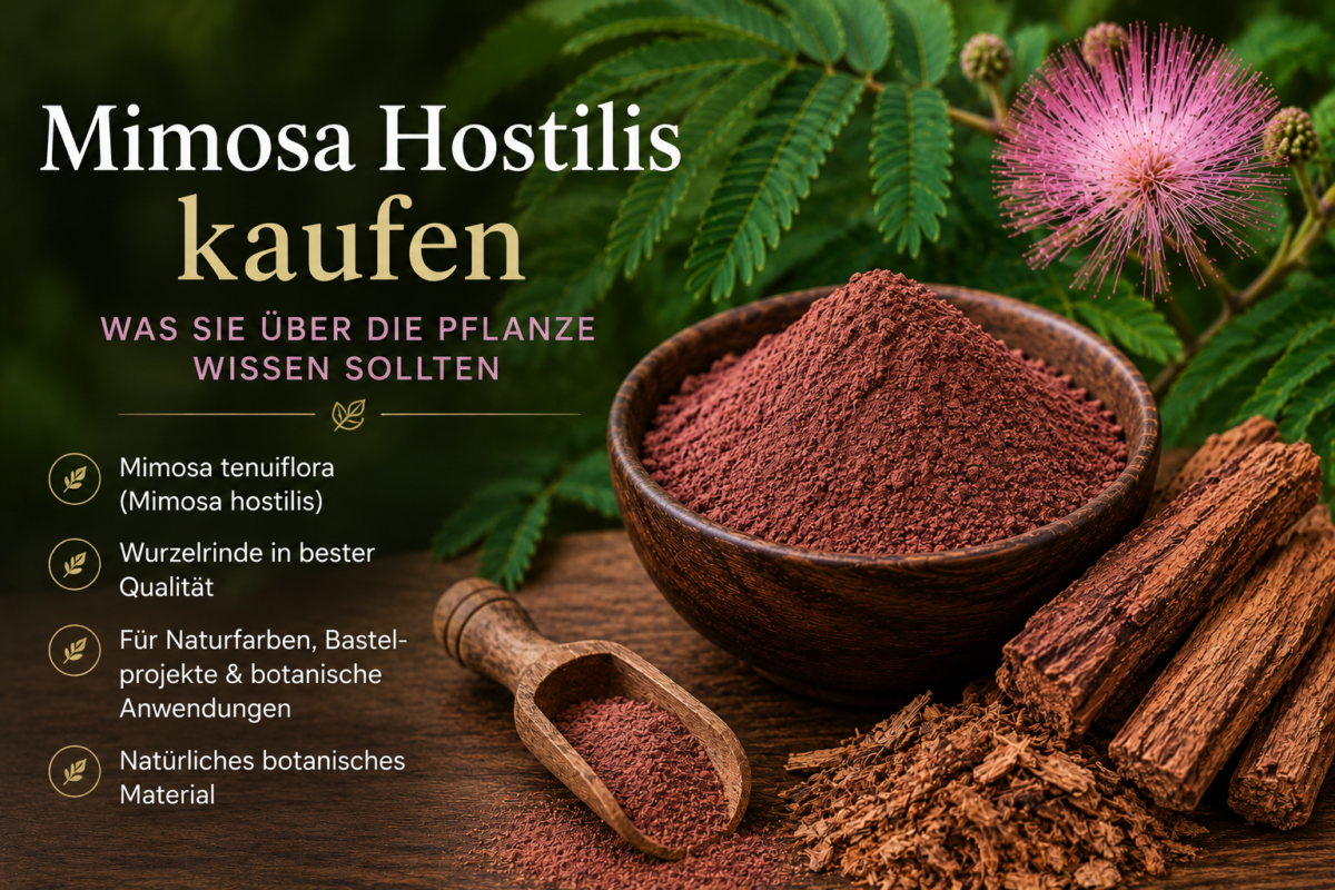 Mimosa Hostilis kaufen